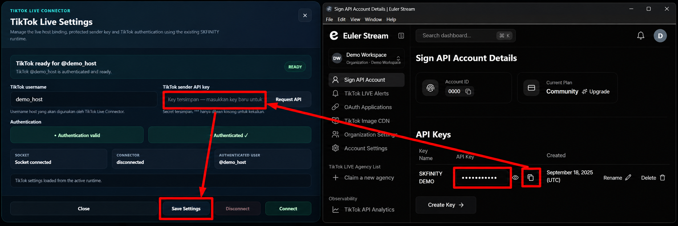 Rekreasi demo side-by-side menunjukkan key Euler masked disalin ke TikTok sender API key dan butang Save Settings