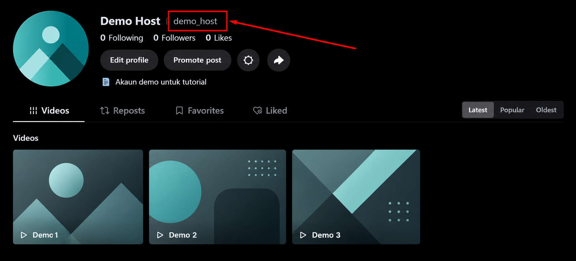 Profil TikTok demo dengan username demo_host di sebelah display name ditandakan dengan kotak dan anak panah merah